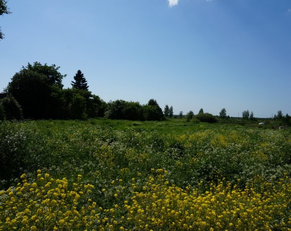 Участок с яблонями 2.380.000₽