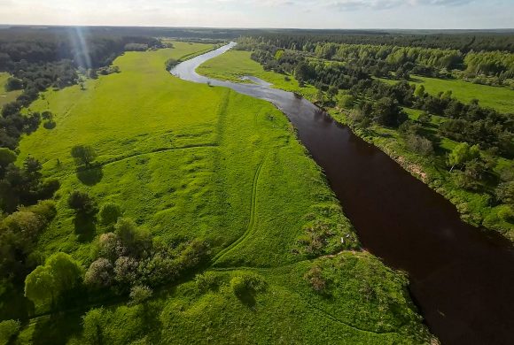 Уютный уголок природы в Завидово. 30 соток. Цена: 6.500.000 руб.